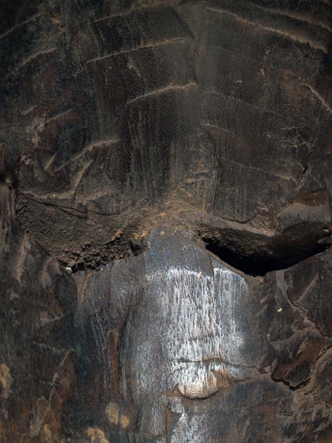 P3140435