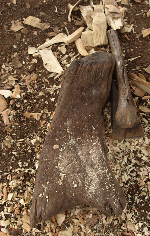 P5121151