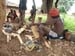 P5101050