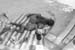 SIMG_4282