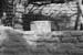 SIMG_4285