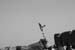 SIMG_4290